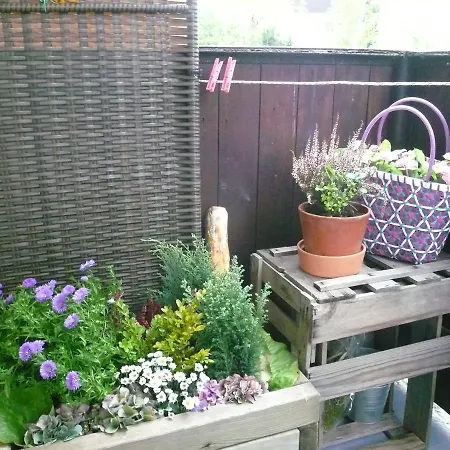 Koerner 3 Apartament Bad Harzburg